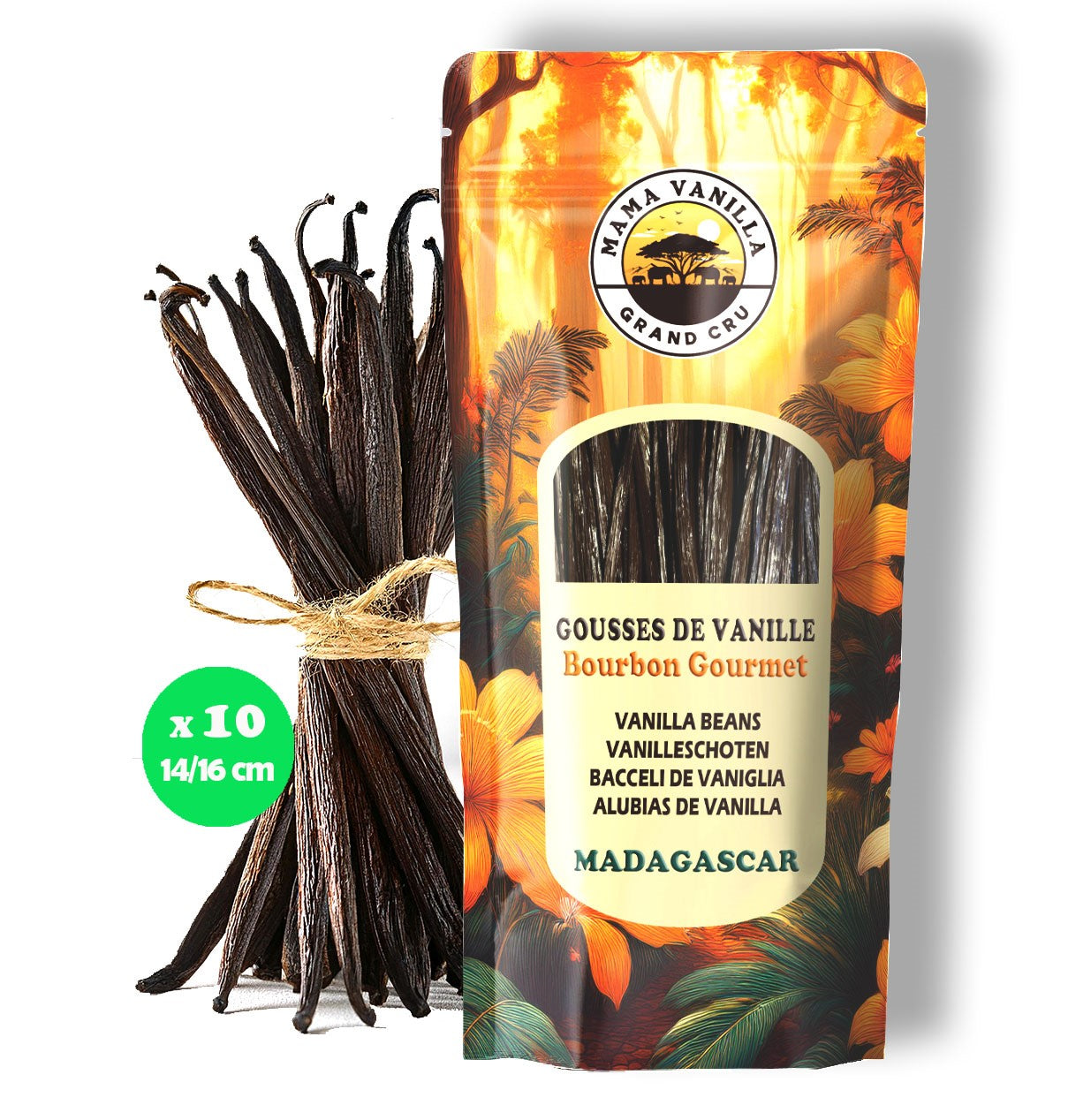 Vanille BOURBON Gourmet de MADAGASCAR Qualité A - 10 GOUSSES ... 14/16 cm