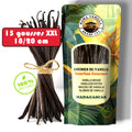 15 GOUSSES XXL 18/20 cm - Vanille BOURBON Gourmet de MADAGASCAR Qualité A - Millésime 2025