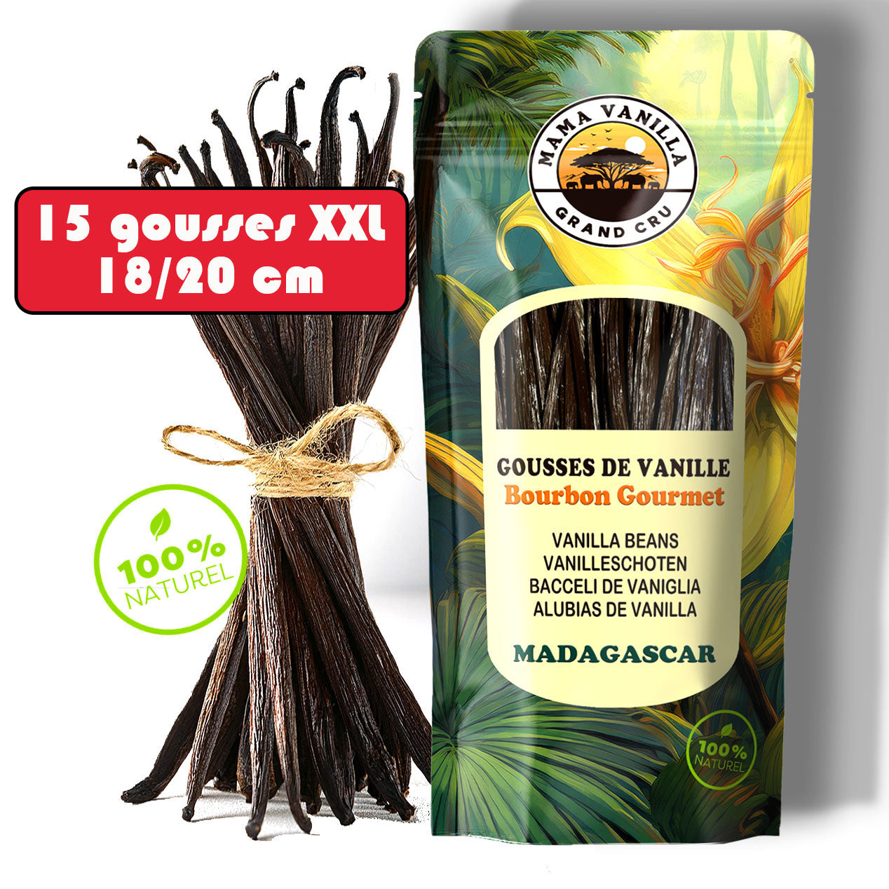 15 GOUSSES XXL 18/20 cm - Vanille BOURBON Gourmet de MADAGASCAR Qualité A - Millésime 2025