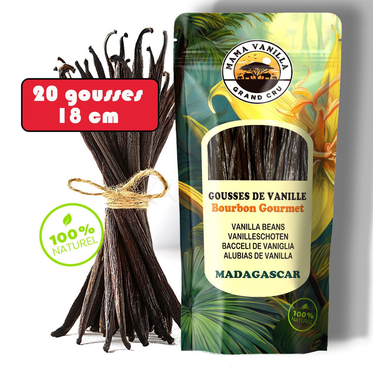 20 GOUSSES XXL 18/20 cm - Vanille BOURBON Gourmet de MADAGASCAR Qualité A - Millésime 2025