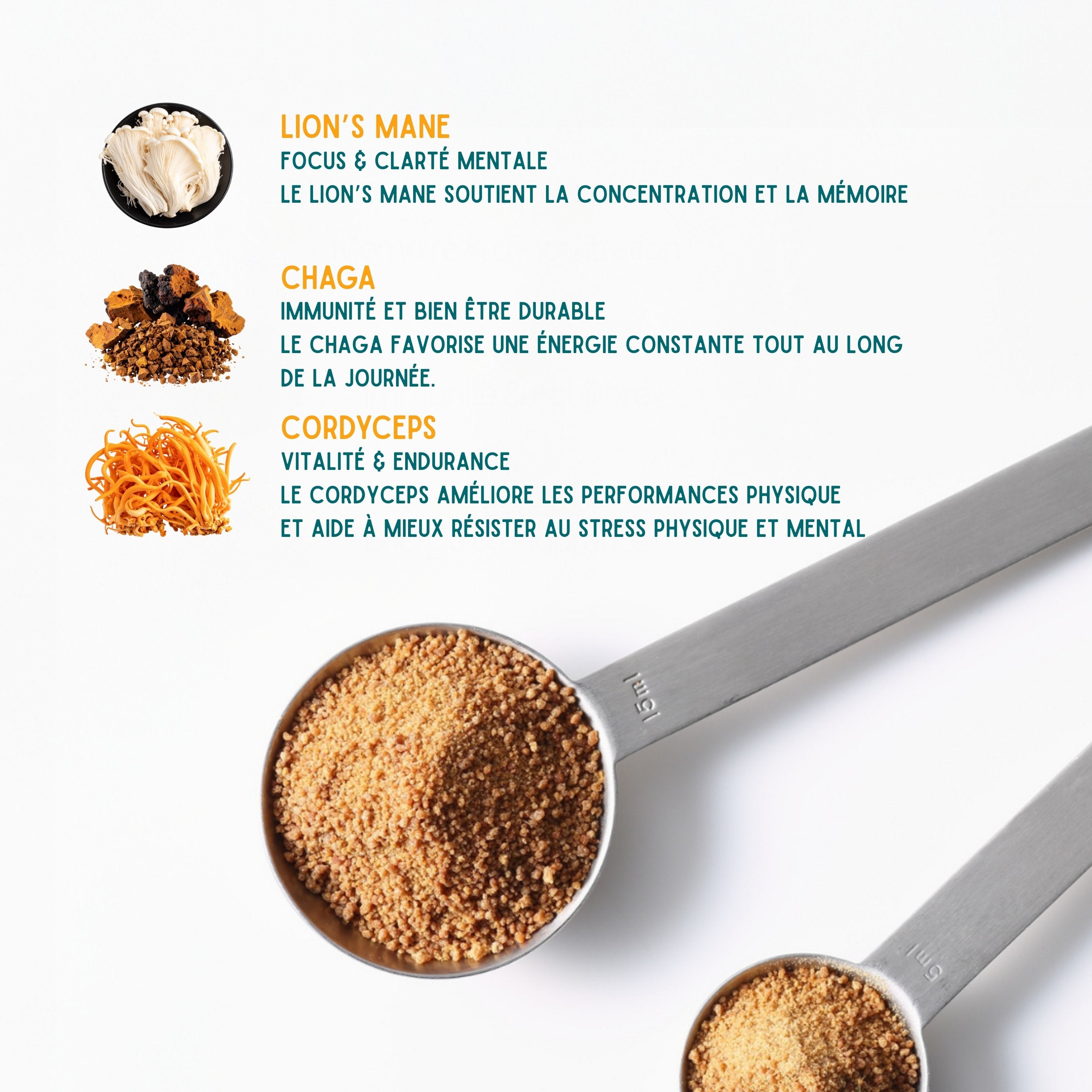 Fungi – Café nouvelle génération aux champignons adaptogènes (Cordyceps, Chaga, Lion’s Mane) – Énergie stable & goût intense