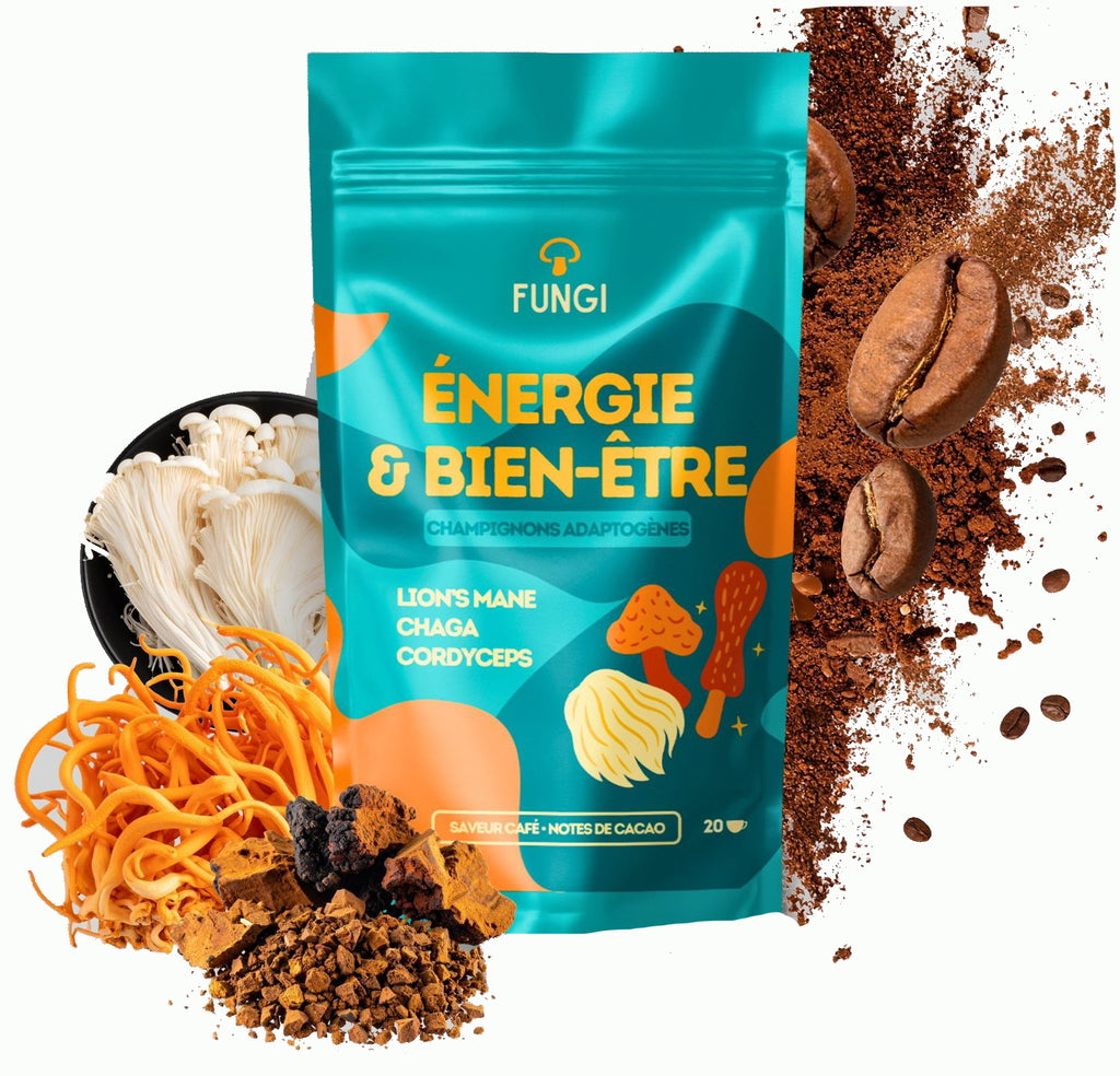 Fungi – Café nouvelle génération aux champignons adaptogènes (Cordyceps, Chaga, Lion’s Mane) – Énergie stable & goût intense