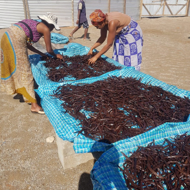 20 GOUSSES XXL 18/20 cm - Vanille BOURBON Gourmet de MADAGASCAR Qualité A - Millésime 2025
